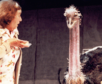 photo of a woman and an ostrich from the production "Blue Heart"